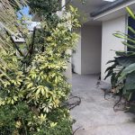 11 Ulladulla Street, BLACKS BEACH, QLD 4740 AUS