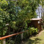 10 Hangan Street, BUCASIA, QLD 4750 AUS